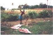 Jamaica Reggae